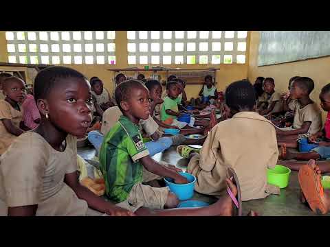 Rapport d'évaluation des activités de renforcement des capacités institutionnelles dans le domaine de l'alimentation scolaire au Togo