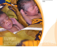 Rapport d'activites